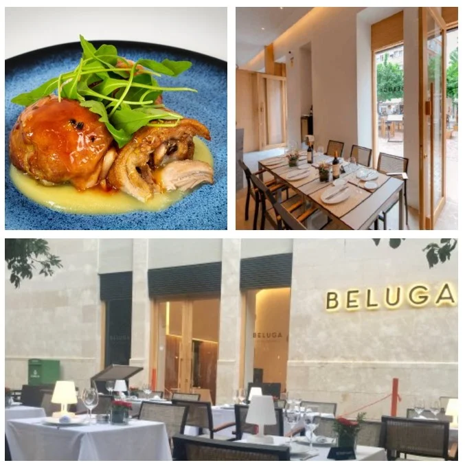 beluga restaurant malaga, in unsere top 10 restaurant in malaga