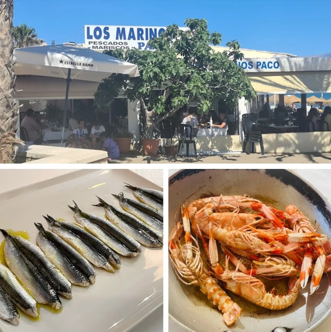 Restaurant Los Marinos Jose